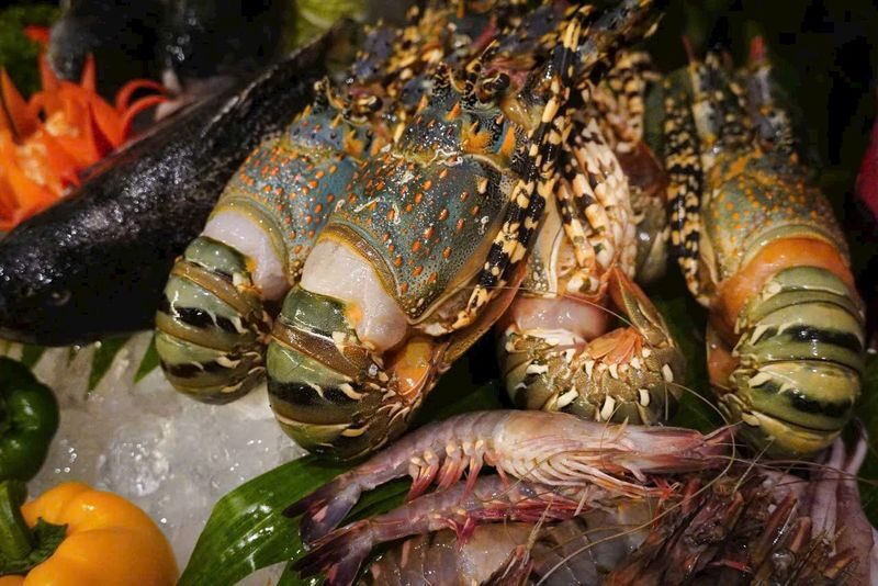 International Buffet At Sheraton Hanoi West Hotel - At a glance: buffet choices and practical details