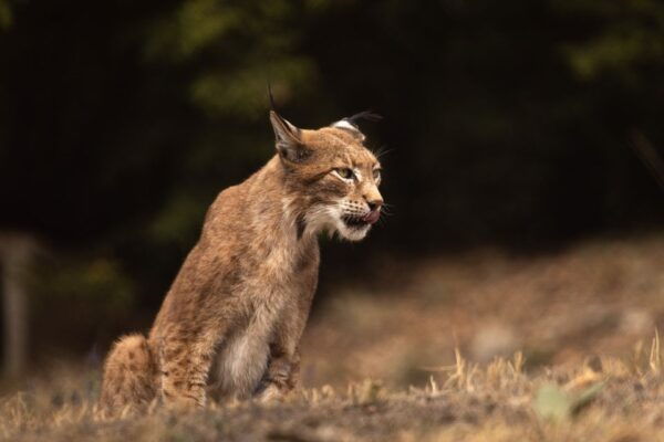 International Environmental Centre of ARCTUROS Tour - Customer Reviews and Testimonials