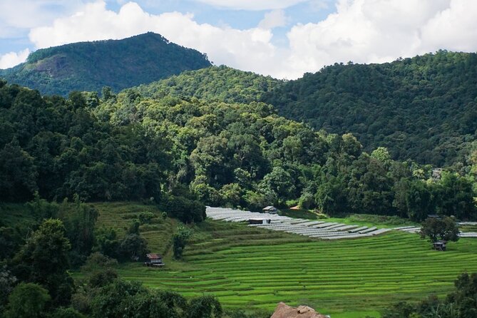 Inthanon National Park Tour With Soft Hike at Pha Dok Siew Trail - Selecting Date, Travelers, and Duration