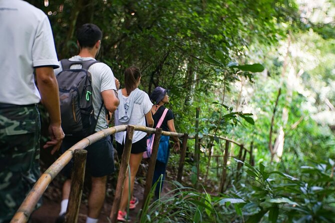 Inthanon National Park Tour With Soft Hike at Pha Dok Siew Trail - Pickup Points and Logistics