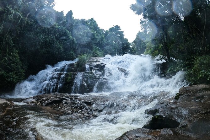 Inthanon National Park Tour With Soft Hike at Pha Dok Siew Trail - Start Time and Duration