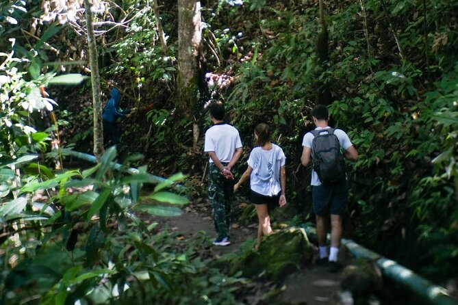 Inthanon National Park Tour With Soft Hike at Pha Dok Siew Trail - Cancellation Policy and Contact Information