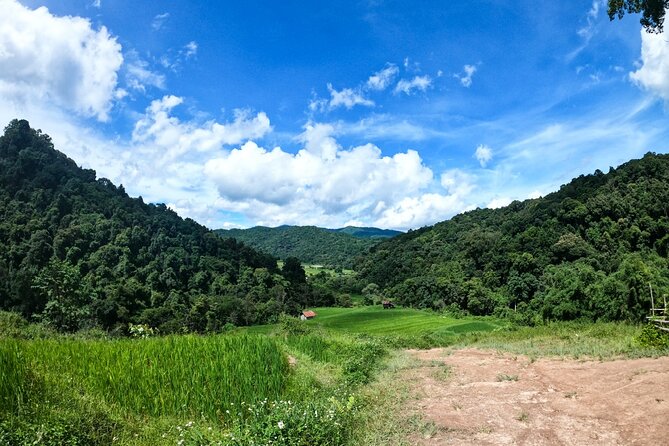 Inthanon National Park Tour With Soft Hike at Pha Dok Siew Trail - Common Questions