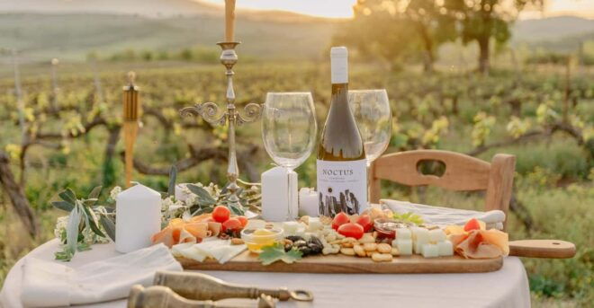 Intimate Romantic Vineyard Set up With Wine Tasting - Important Considerations