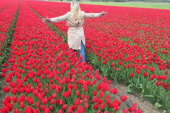 Into Flowerfields & Dutch Countryside Luxury Jaguar Private Tour - Experience the Dutch Countryside
