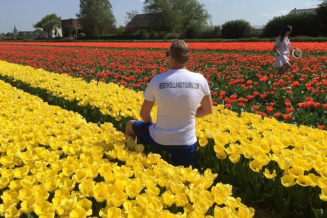 Into Flowerfields & Dutch Countryside Luxury Jaguar Private Tour - Immerse Yourself in Dutch Culture and History