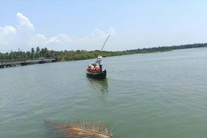 Into the Mangroves: Calicut Mangrove Trail by Tyndis - Tour Highlights