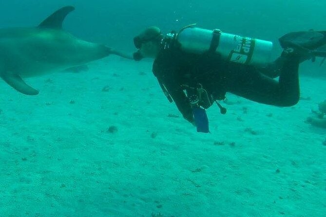 Intro Diving 2 Stops for Beginners With Lunch - Hurghada - Itinerary Details