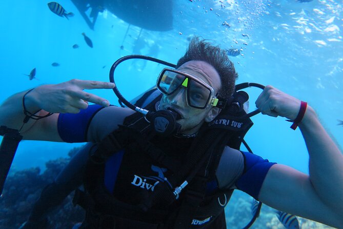 Intro Diving 2 Stops for Beginners With Pick-Up and Lunch - Hurghada - Tips and Recommendations