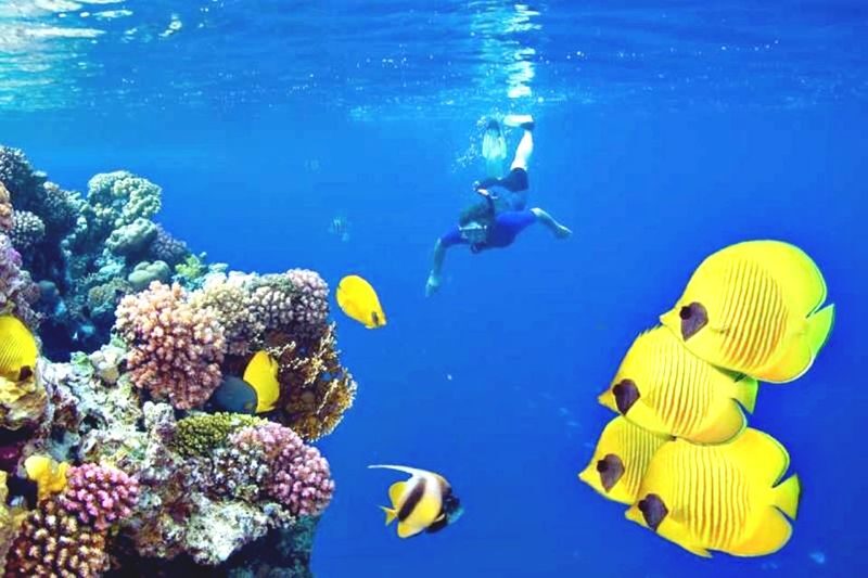 Intro Diving and Snorkeling Tour in Hurghada - At a glance: two sea stops and a full day out