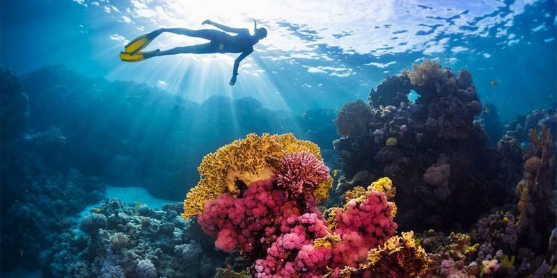Intro Diving and Snorkeling Tour in Hurghada - Lunch and drinks on board