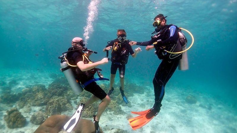 Intro Diving and Snorkeling Tour in Hurghada - Transfers, timing, and practical details
