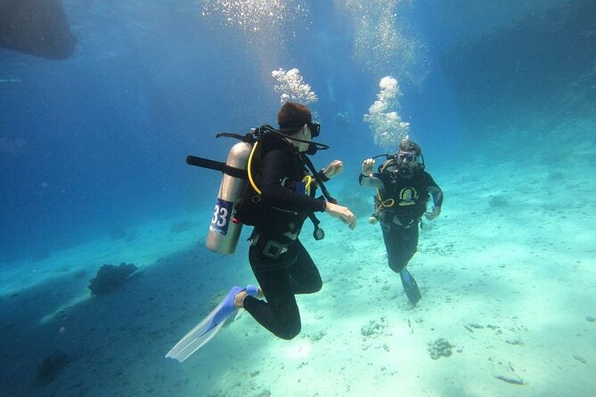 Intro Diving at Ras Mohamed and White Island in Sharm El Sheikh - Snorkeling Stops and Instructor