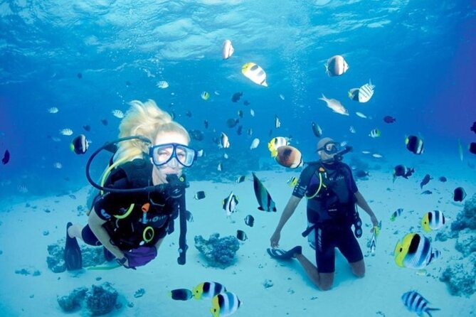 Intro Diving at Ras Mohamed and White Island in Sharm El Sheikh - Buffet Lunch and Refreshments