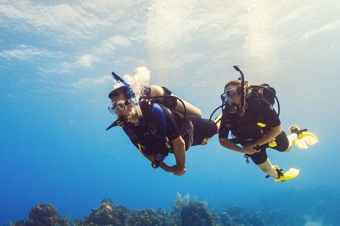 Intro Diving at Ras Mohamed and White Island in Sharm El Sheikh - Booking Information and Price