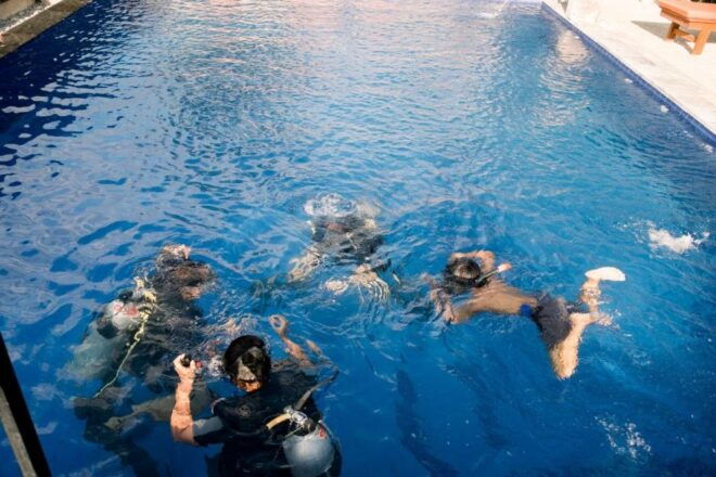 Intro Diving at Swimming Pool - Experience Highlights