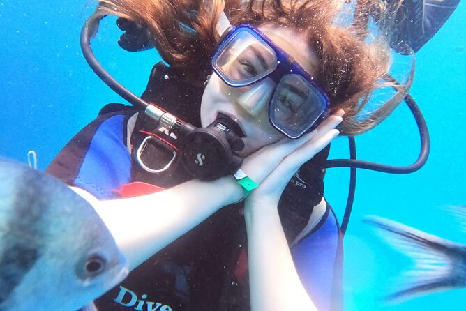 Intro Diving Beginner and Discover Red Sea Underwater - Introduction to Intro Diving