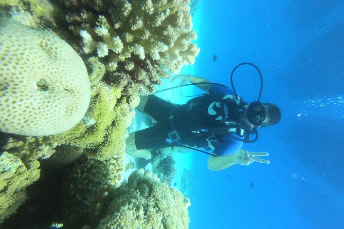 Intro Diving for Beginners in Hurghada With Pick-Up and Lunch - Cancellation Policy