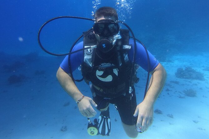 Intro Diving for Beginners in Hurghada With Pick-Up and Lunch - Booking Information