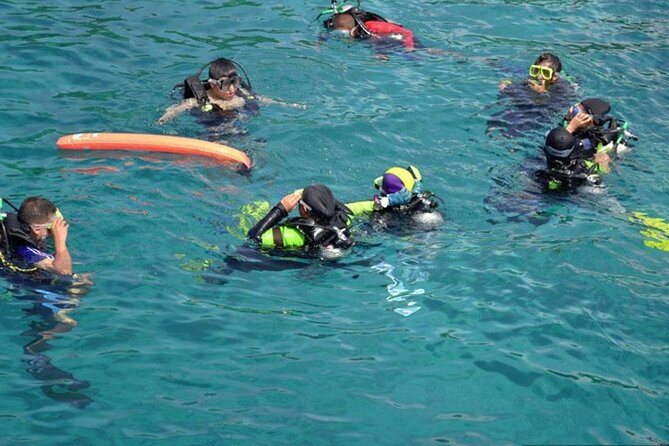 Intro Diving for Beginners in Hurghada With Pick-Up and Lunch - Customer Reviews
