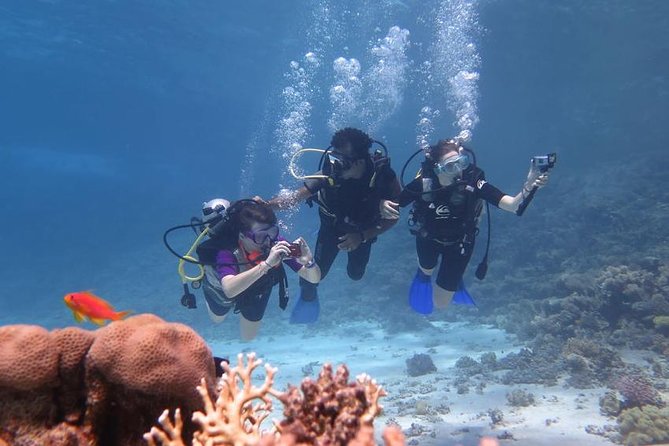 Intro Diving In Sharm El Sheikh - Good To Know