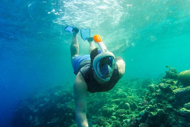 Intro Diving In Sharm El Sheikh - Reviews