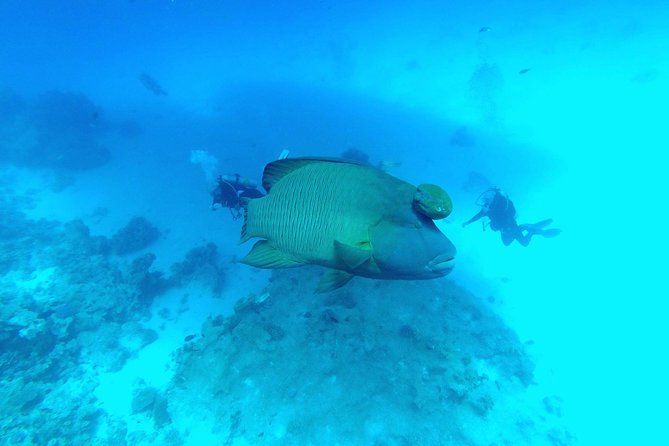 Intro Scuba Diving - Scuba Diving Experiences