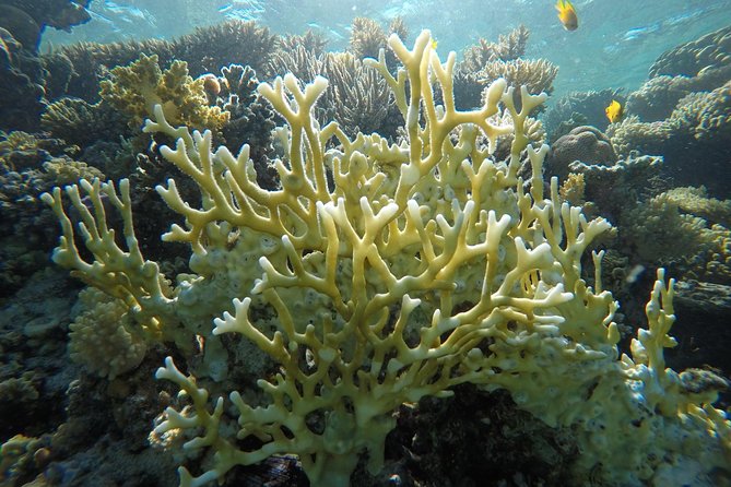 Intro Scuba Diving - Traveler Photos and Reviews