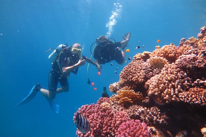 Intro Scuba Diving - Terms & Conditions