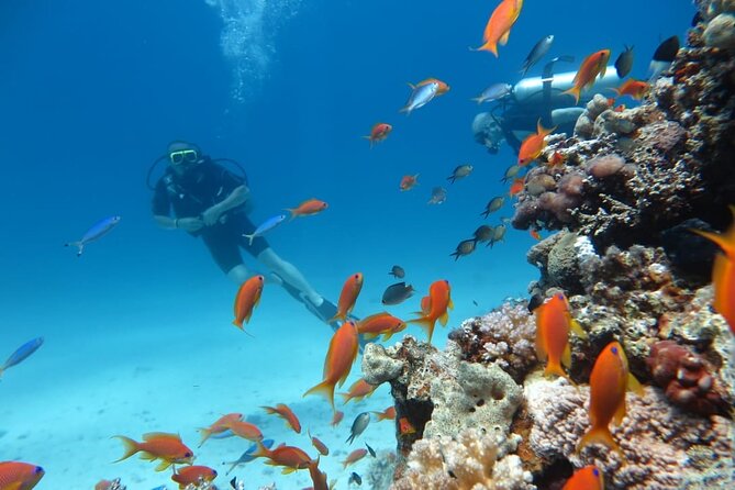 Intro Scuba Diving - Additional Information