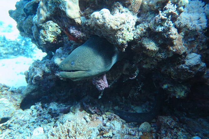 Intro Scuba Diving - Common Questions