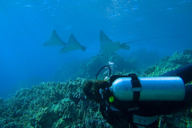 Intro to Scuba Diving in Kaanapali - Cancellation Policy and Customer Reviews