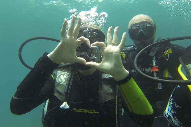 Introdive - Common Questions