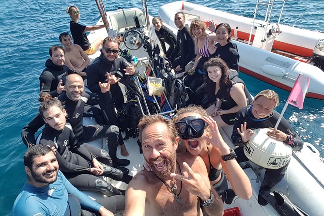 Introdive - The Sum Up