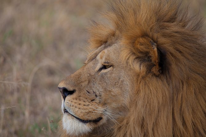 Introducing Kenya Safari Package - Additional Information