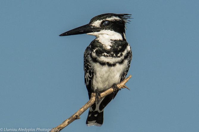 Introducing Kenya Safari Package - Price Information