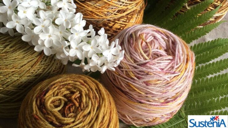 Introduction Course to Knitwear in Bastia Umbra - Experience Highlights