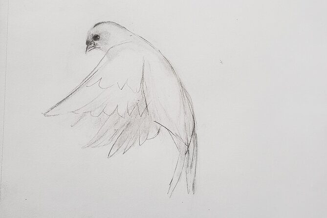 Introduction to Drawing - Good To Know