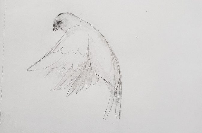 Introduction to Drawing - Breaking Down the Experience