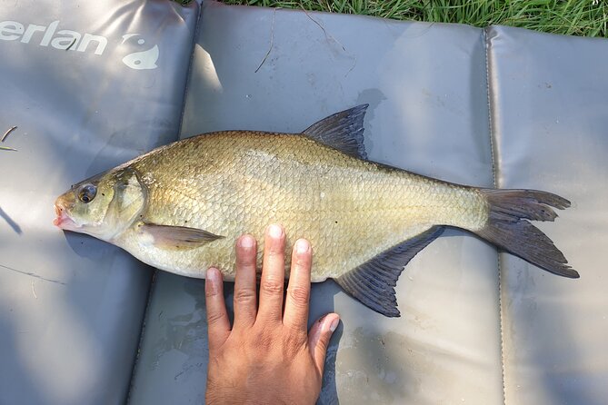 Introduction to Fishing in Strasbourg - Essential Fishing Techniques for Beginners