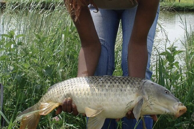 Introduction to Fishing in Strasbourg - Common Questions