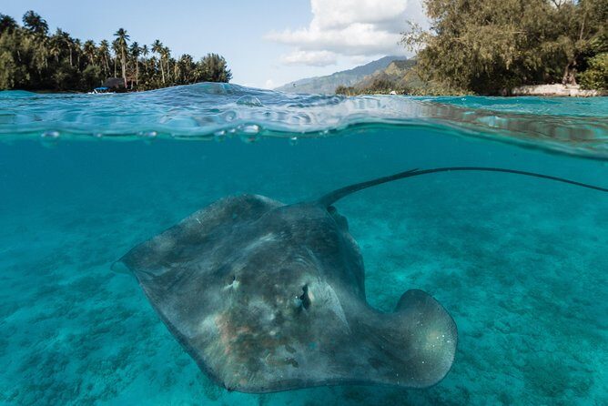 Introduction to sailing and discovering the lagoon - Final Thoughts