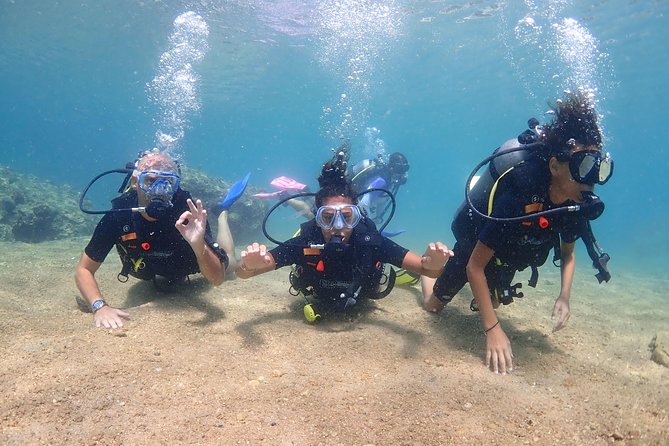 Introductory Dive for Non-Certified Divers - What to Expect on Your First Dive