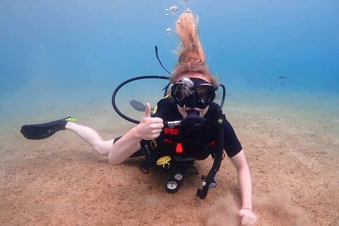 Introductory Dive for Non-Certified Divers - The Sum Up