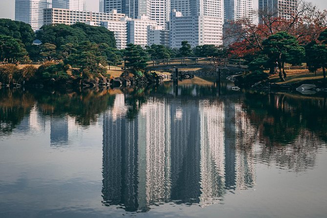 Introductory Tokyo Tour for the First Timers: Learn Basic Travel Tips and Tricks - Getting Around Tokyo: Transportation Guide