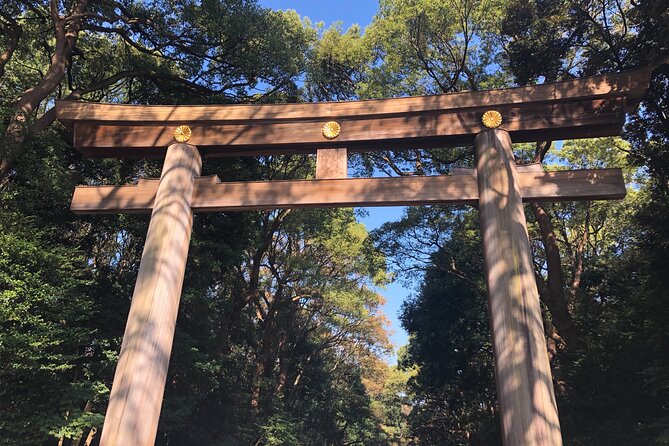 Introductory Tokyo Tour for the First Timers: Learn Basic Travel Tips and Tricks - Common Questions