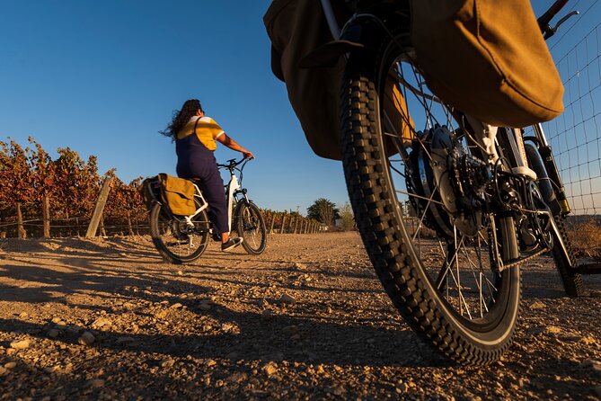 Introductory Wine Tour of Paso Robles on Electric Bikes - Cancellation Policy and Weather Considerations