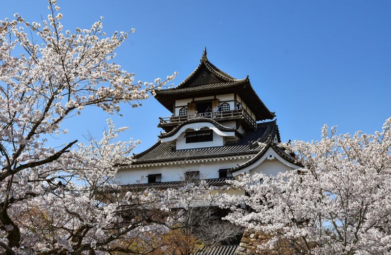 Inuyama Castle, Ena Gorge, Magome-juku & Tsumago-juku (From Nagoya) - The useful details at a glance