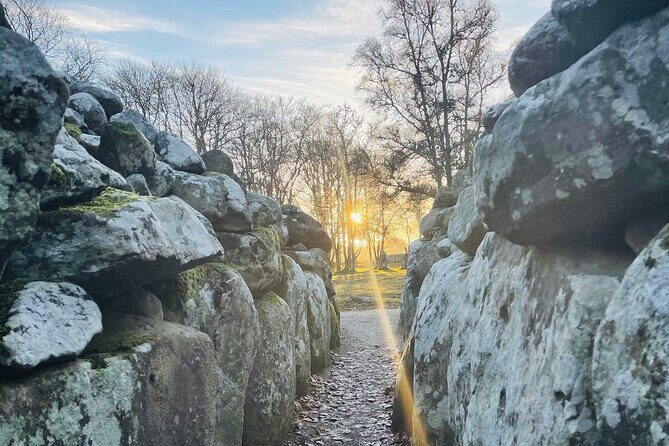 INVERGORDON Highland Shore Excursion for up to 14 pax (Private) - The Sum Up