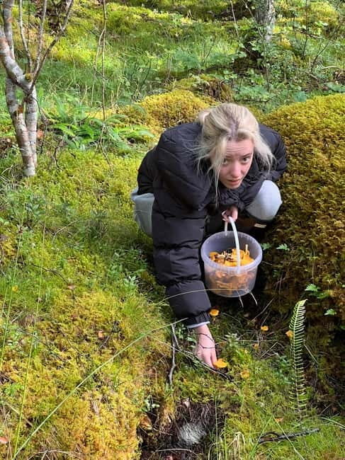 Inverness: Highland Dining and Folklore Experience - A Detailed Look at the Highland Dining and Folklore Experience